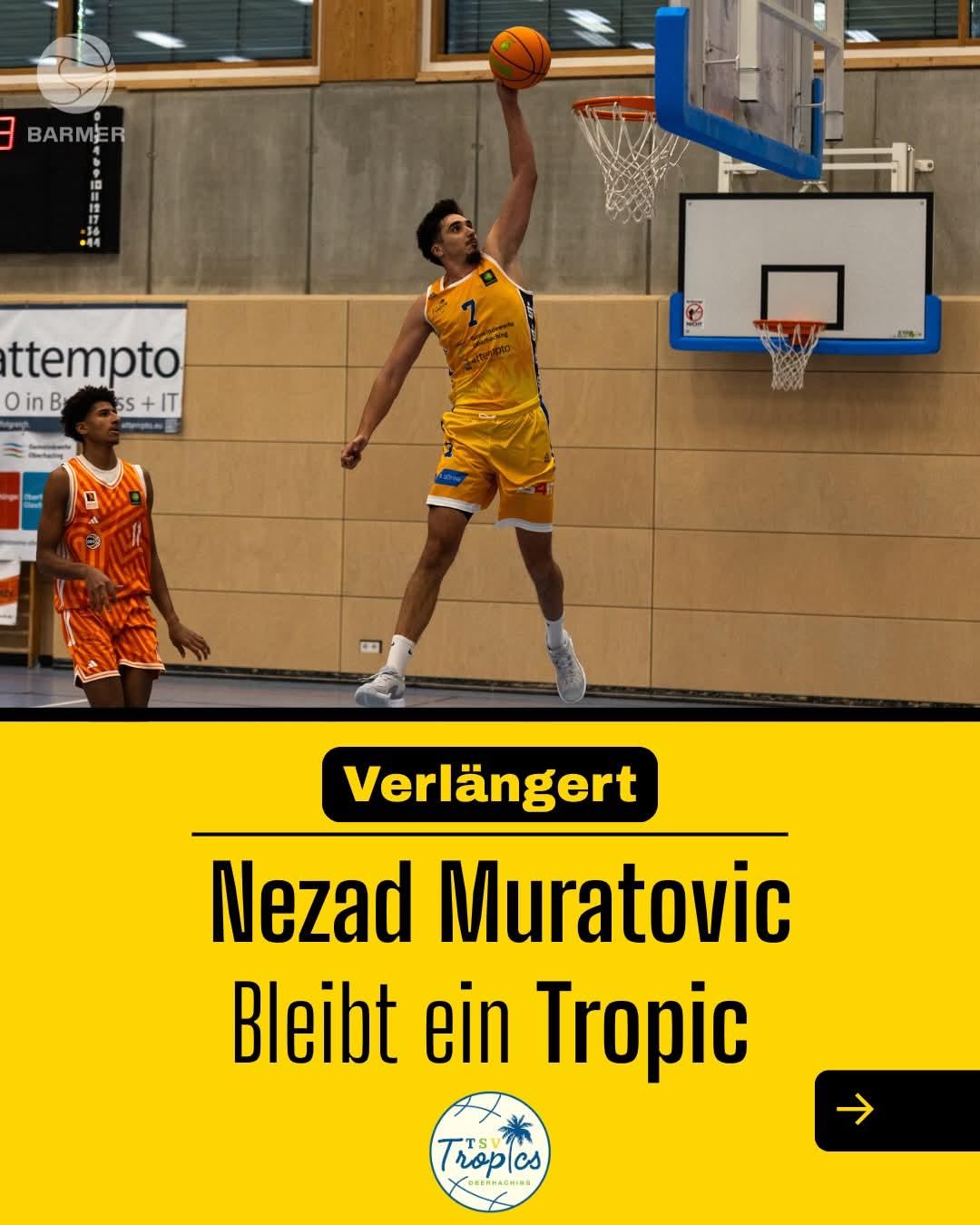 Nedzad