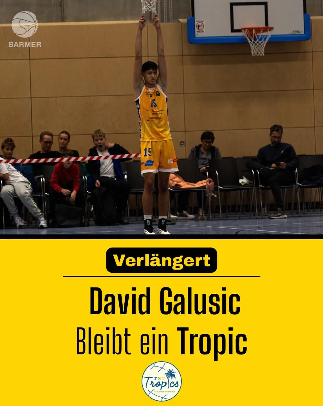 David